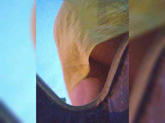 EditaMilf EditaMilf