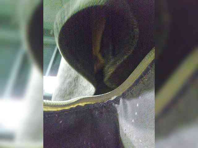EditaMilf webcam