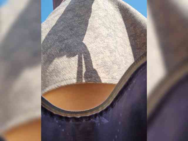 editamilf's live room