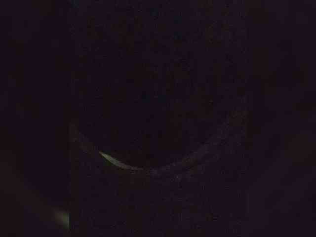 EditaMilf webcam