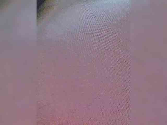 EditaMilf