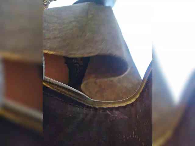 Model: EditaMilf