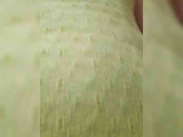 EditaMilf EditaMilf