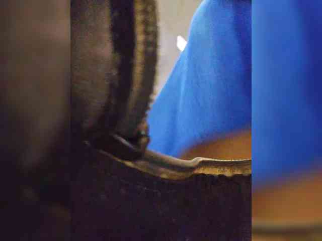 EditaMilf webcam