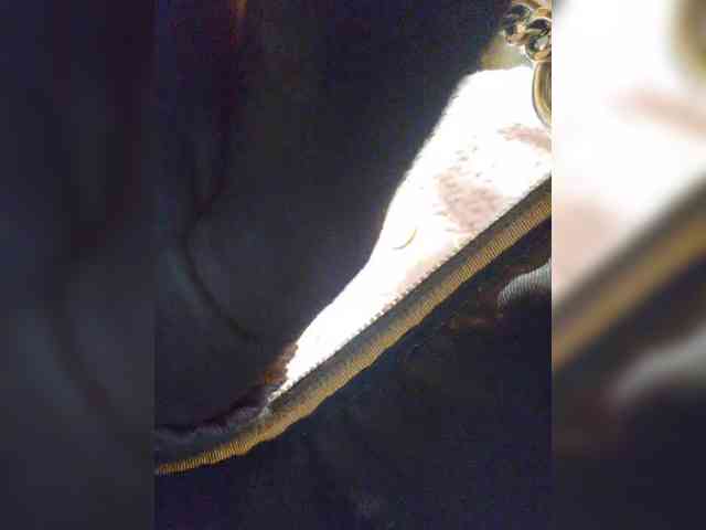 EditaMilf webcam