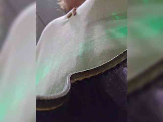 EditaMilf