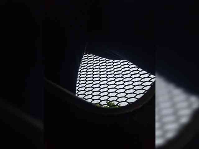 EditaMilf webcam