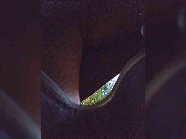 EditaMilf webcam