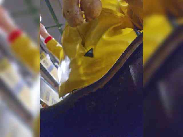 EditaMilf webcam