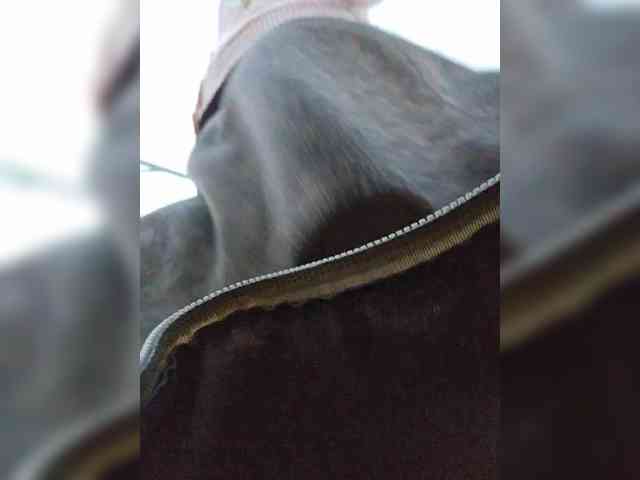EditaMilf webcam