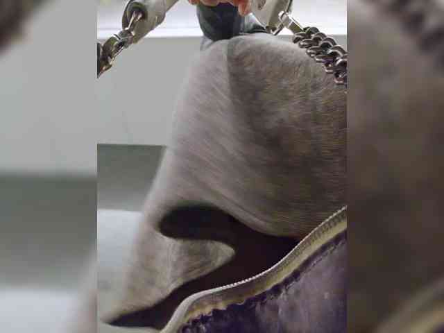 Model: EditaMilf