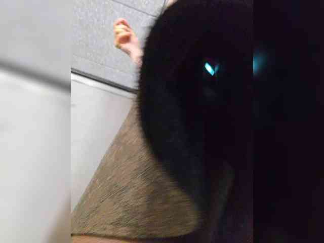 EditaMilf webcam