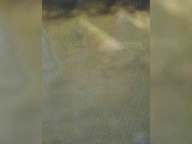 EditaMilf webcam
