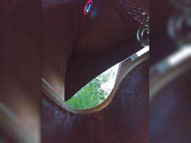 EditaMilf webcam