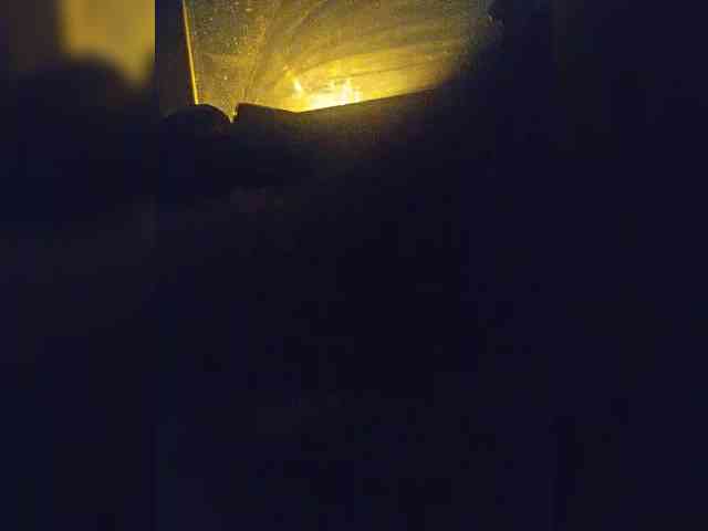 EditaMilf webcam