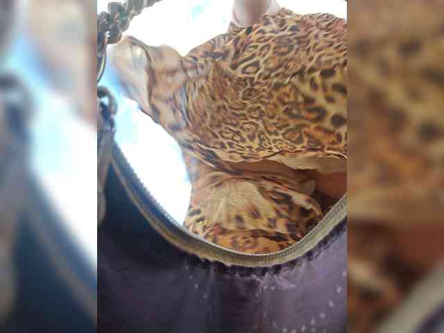 EditaMilf webcam
