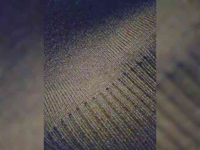 EditaMilf