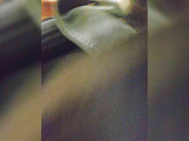 EditaMilf webcam