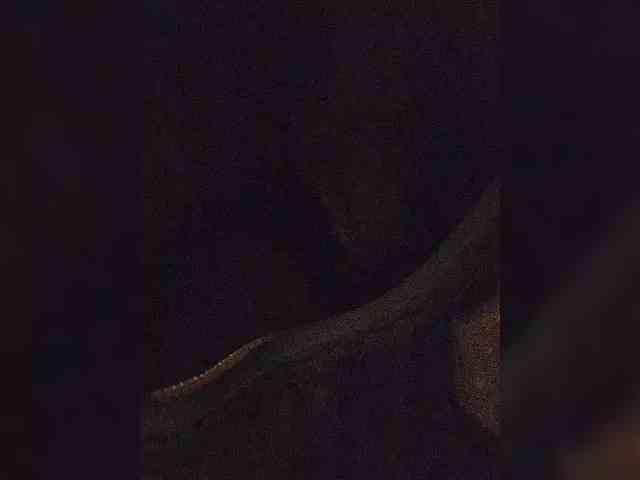 EditaMilf webcam