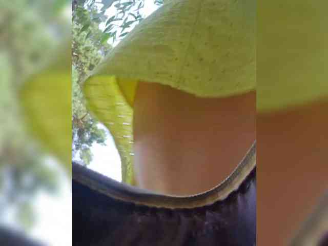 EditaMilf EditaMilf