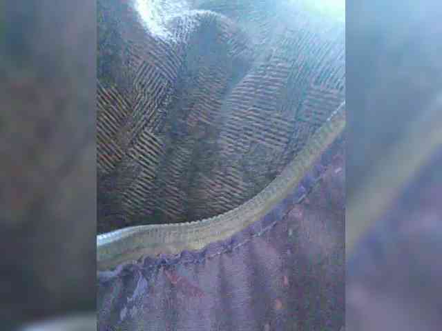 EditaMilf webcam