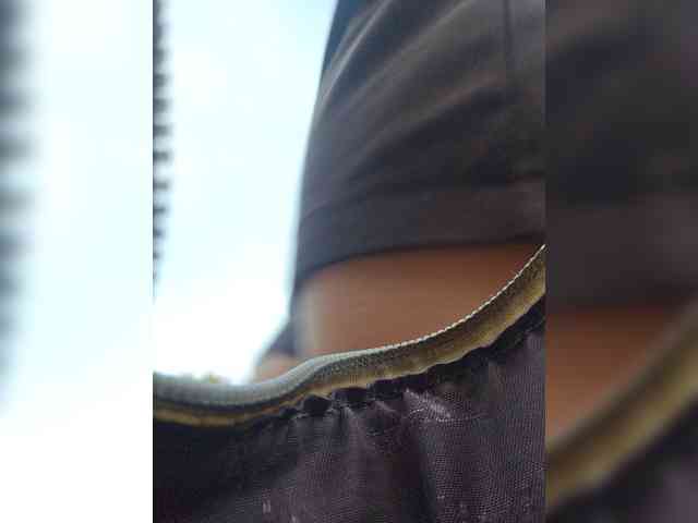 EditaMilf