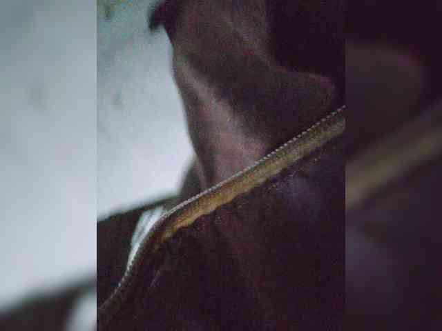 EditaMilf webcam