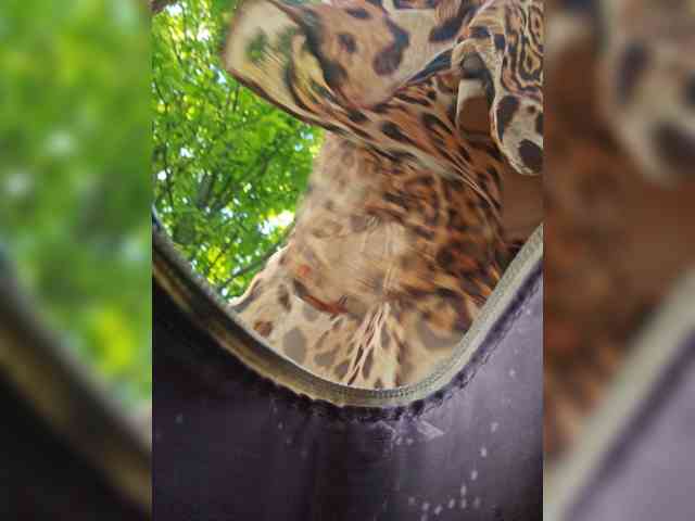 EditaMilf