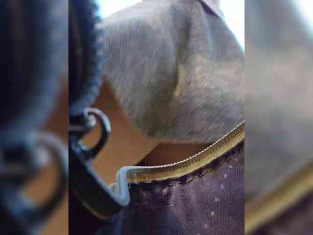 EditaMilf webcam