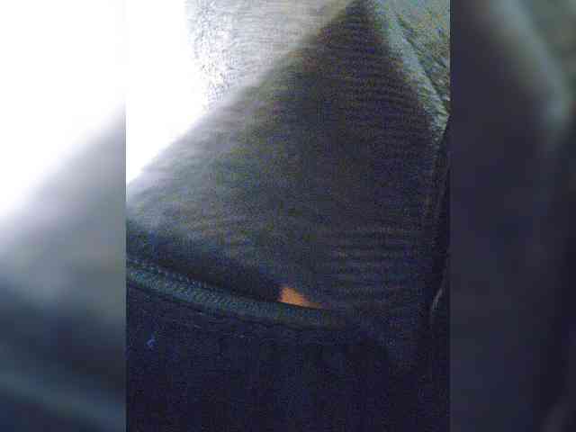 EditaMilf webcam