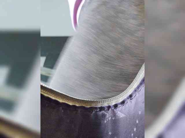 EditaMilf webcam