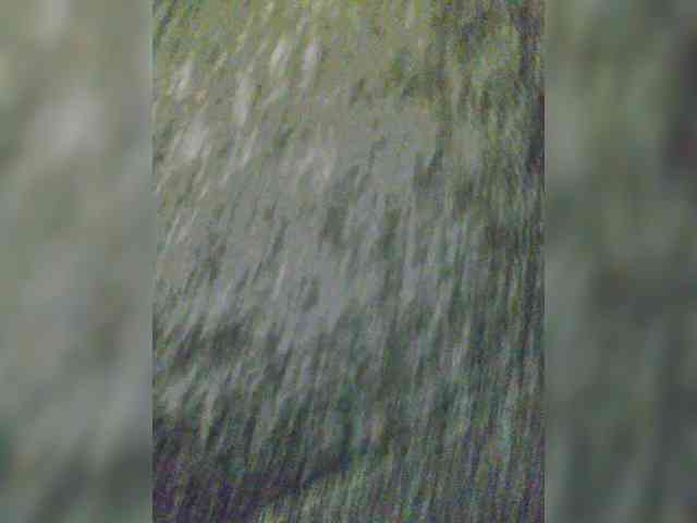 EditaMilf webcam