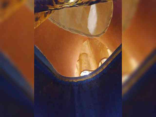 EditaMilf webcam