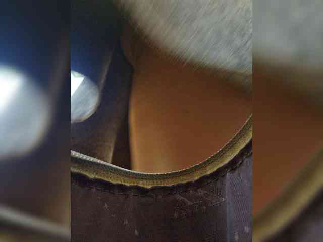 EditaMilf webcam