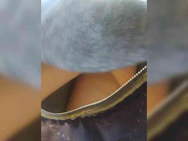 EditaMilf Sex Cam Show