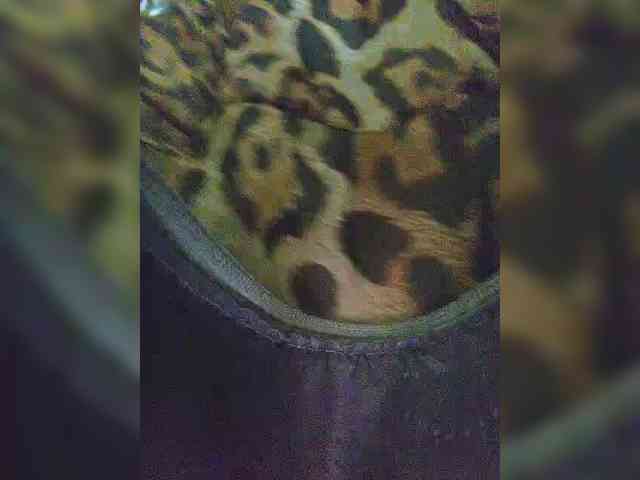 EditaMilf webcam