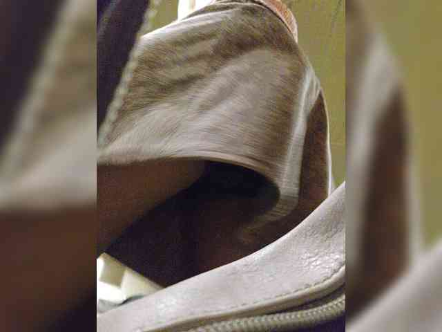 EditaMilf webcam