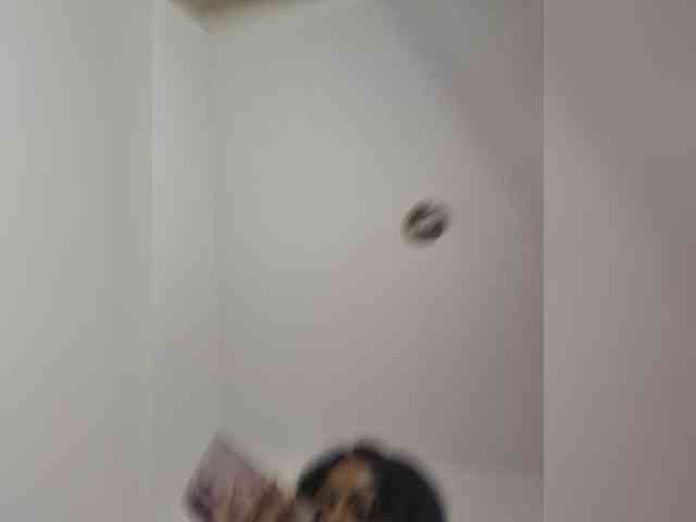 sasha-xxxx webcam