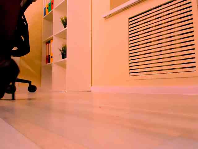 AnaMills webcam