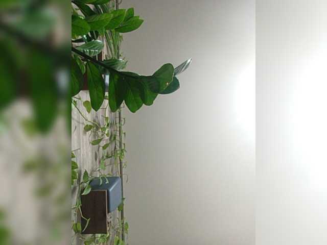 Enigma- live cam on BongaCams