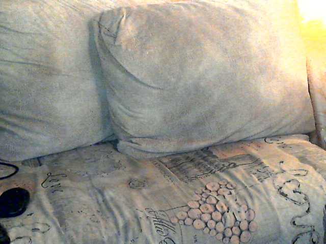 CuteGloria live cam on BongaCams