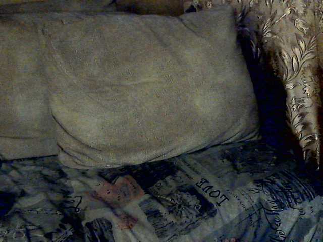 CuteGloria's BongaCams show and profile