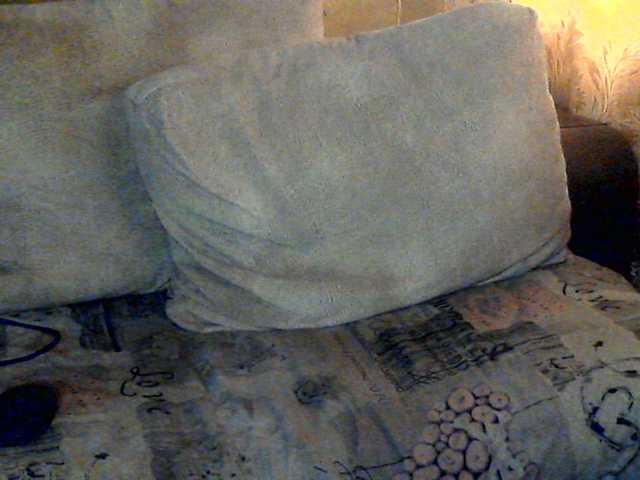 CuteGloria live cam on BongaCams