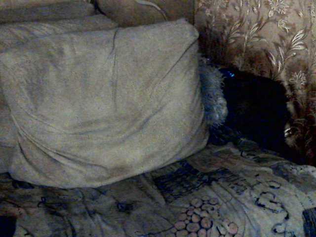 CuteGloria