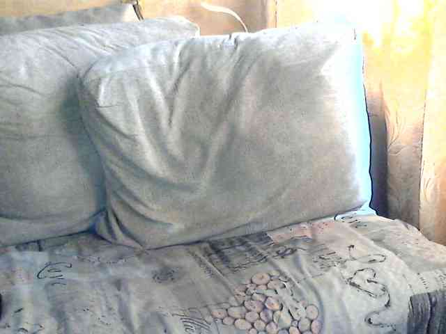 CuteGloria webcam