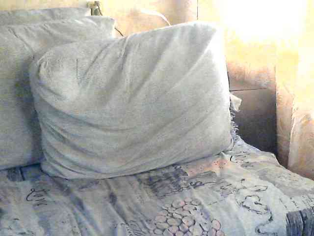 CuteGloria webcam