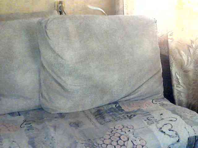 CuteGloria webcam