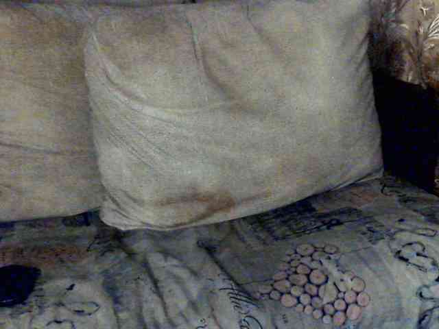 CuteGloria webcam