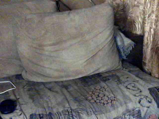 CuteGloria webcam
