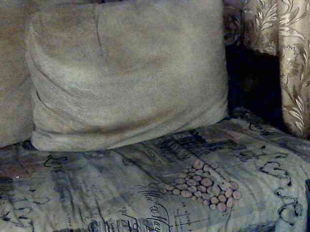 CuteGloria webcam